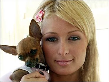 parisandtinkerbell.jpg